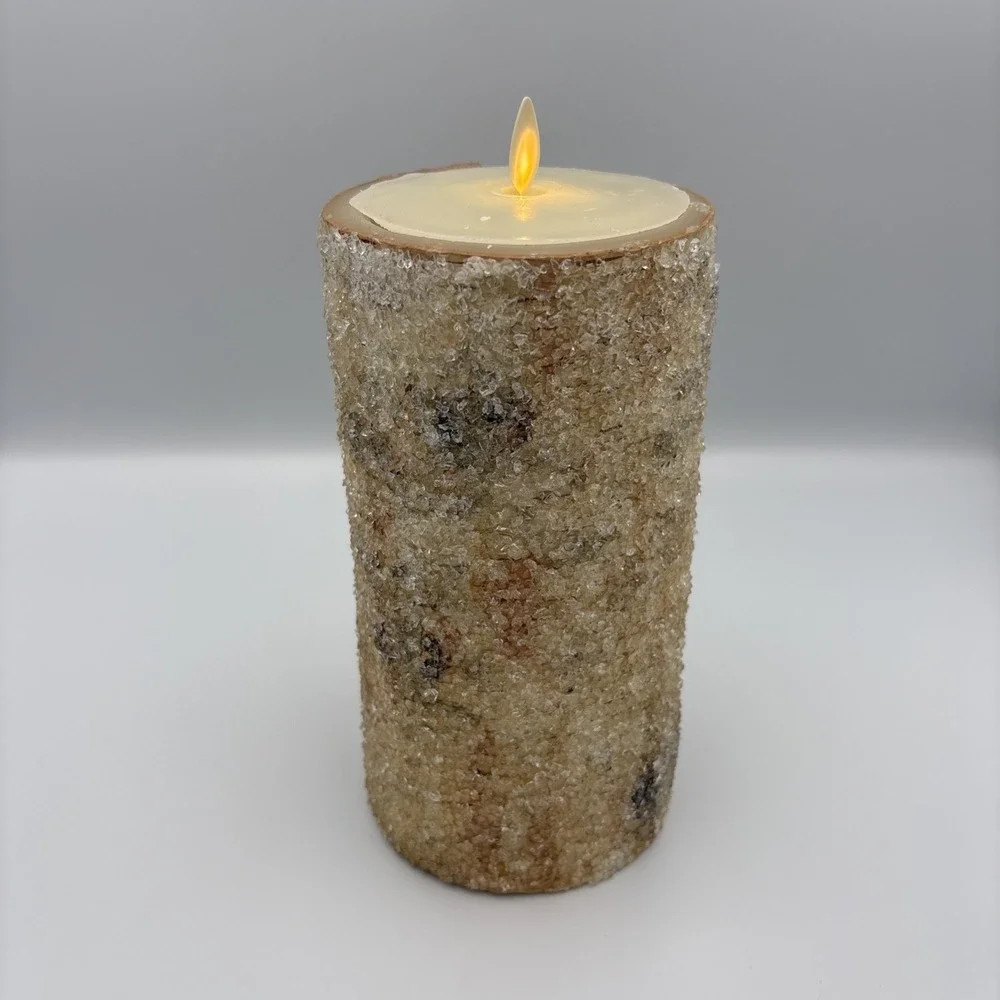 Pottery Barn by L&L Sugared Frosted Birch Flameless Pillar Candle 8